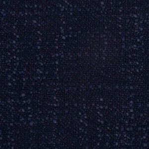 Polly Navy