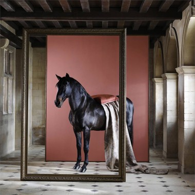 Zoffany - Russet - Paint - Anna Morgan Zoffany - Russet - Paint - Anna Morgan