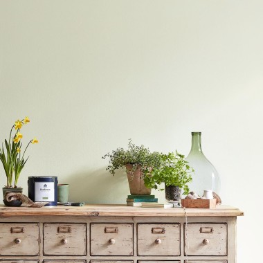 Sanderson - Cameo White - Paint - Anna Morgan London