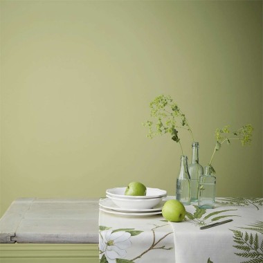 Sanderson - Green Almond - Paint - Anna Morgan London Sanderson - Green Almond - Paint - Anna Morgan London